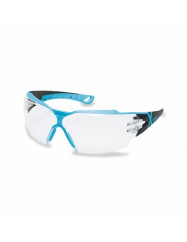 Schutzbrille Pheos CX2