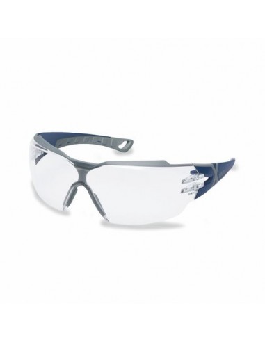 Schutzbrille Pheos CX2