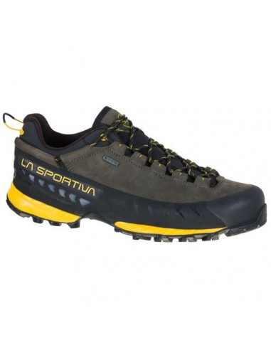 Soulier TX5 Low gtx