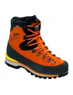 Soulier Alta Rocca GTX